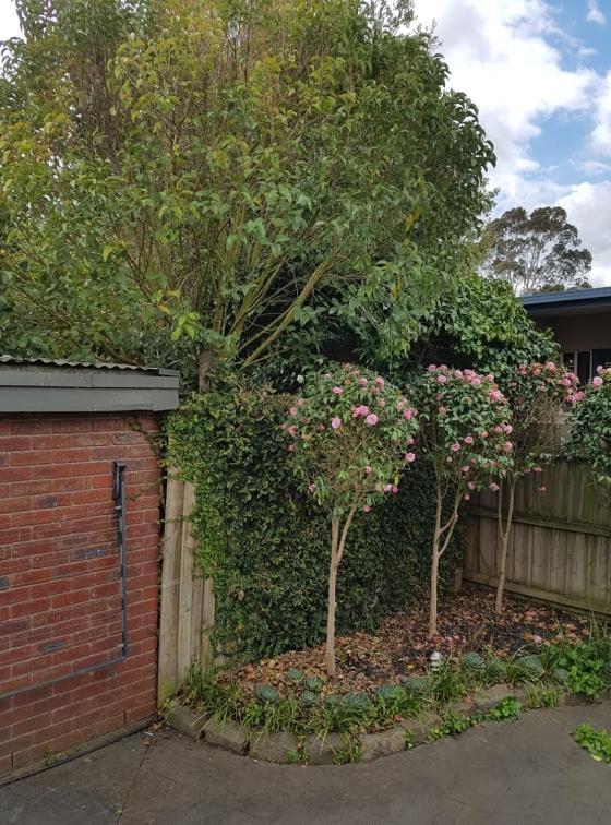 Creek Cottage Bed And Breakfast Traralgon Exteriör bild