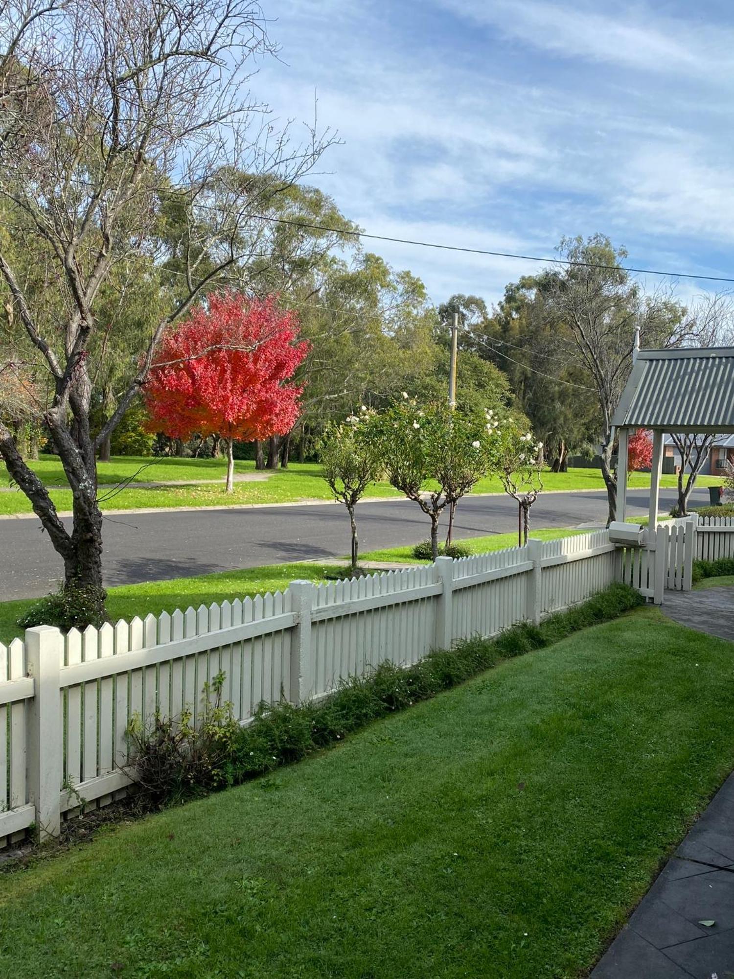 Creek Cottage Bed And Breakfast Traralgon Exteriör bild